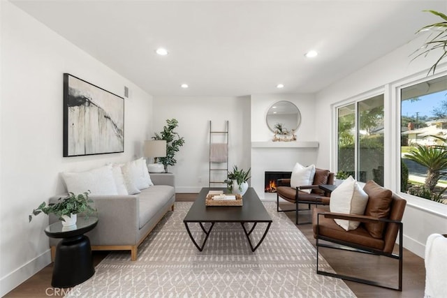 living room featuring a lit fireplace, wood finished floors, and baseboards