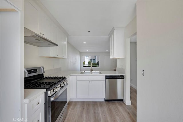 kitchen featuring light wood-style flooring, under cabinet range hood, stainless steel appliances, a sink, and light countertops