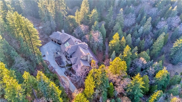 293 Fairway Dr, Lake Arrowhead, CA 92352 - drone / aerial view with a view of trees