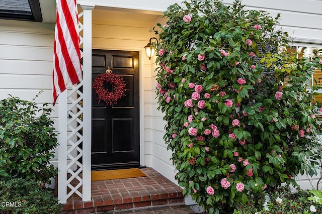 view of entrance to property