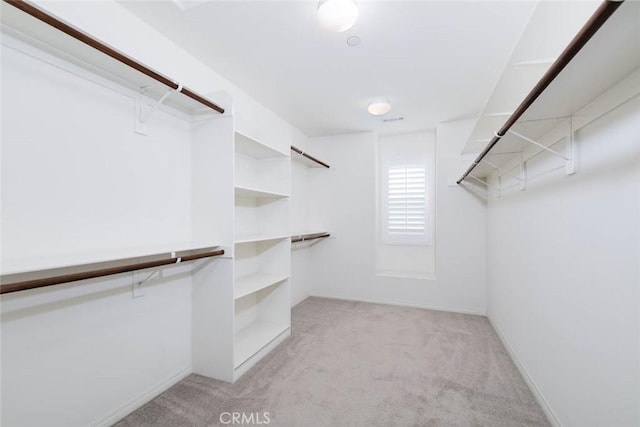 spacious closet with light colored carpet