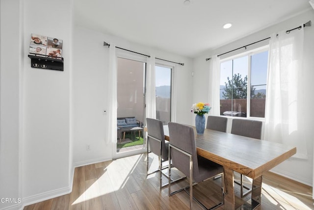 dining area with baseboards and wood finished floors