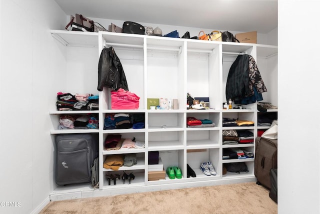 walk in closet featuring carpet flooring