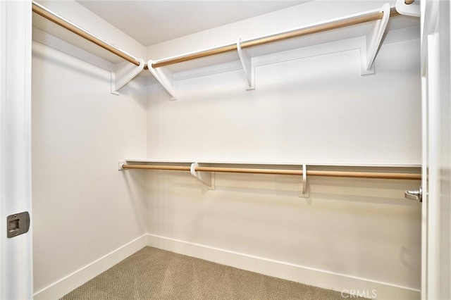 walk in closet with carpet