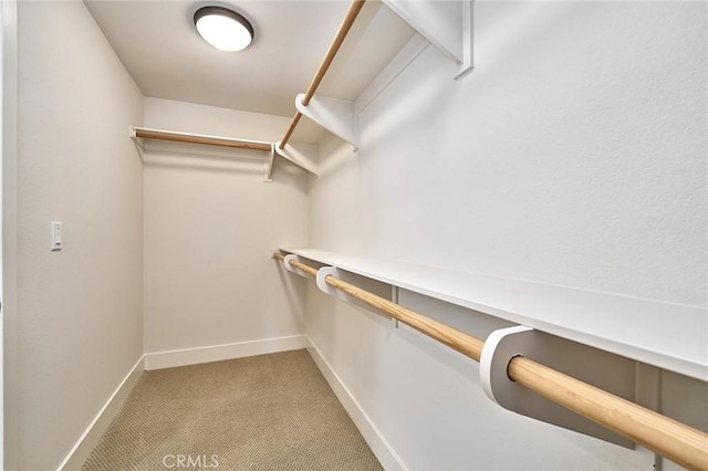 walk in closet featuring light carpet