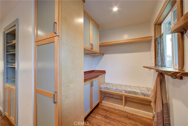 walk in closet featuring wood finished floors