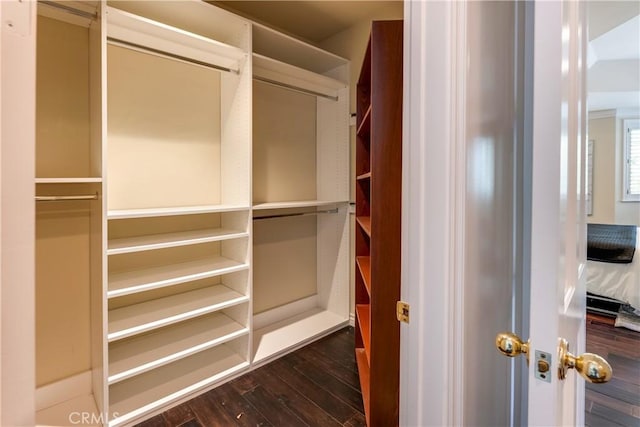 spacious closet with dark wood-type flooring