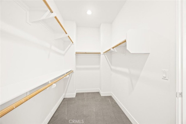 walk in closet with carpet floors