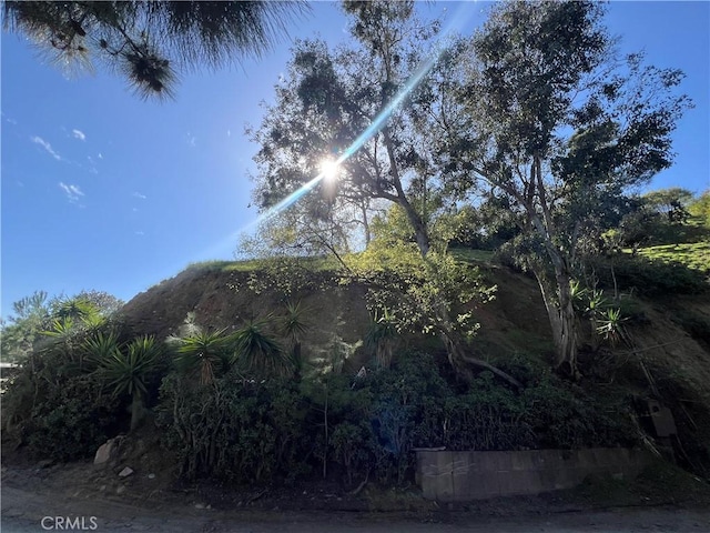 Listing photo 3 for 2949 N Durand Dr, Hollywood Hills East CA 90068