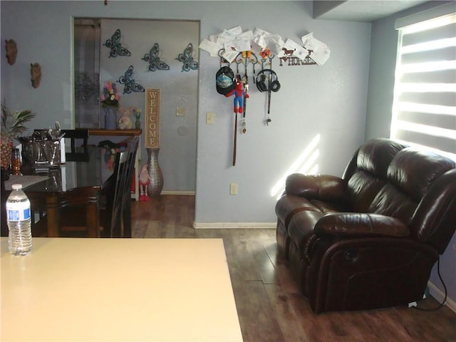 living room with baseboards and wood finished floors