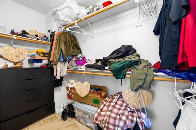 spacious closet featuring carpet flooring