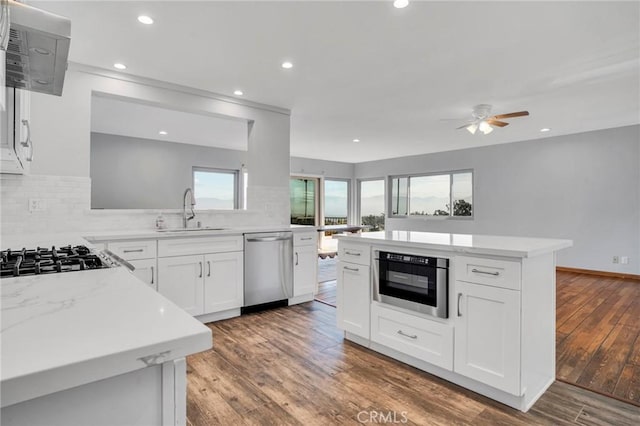 kitchen with decorative backsplash, ceiling fan, wood finished floors, a sink, and stainless steel appliances
