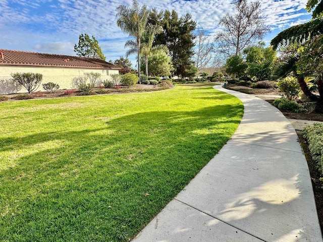 4741 Sequoia Pl, Oceanside, CA 92057 - view of green lawn