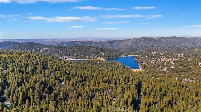 24655 Altdorf Dr, Crestline, CA 92325 - photo 37