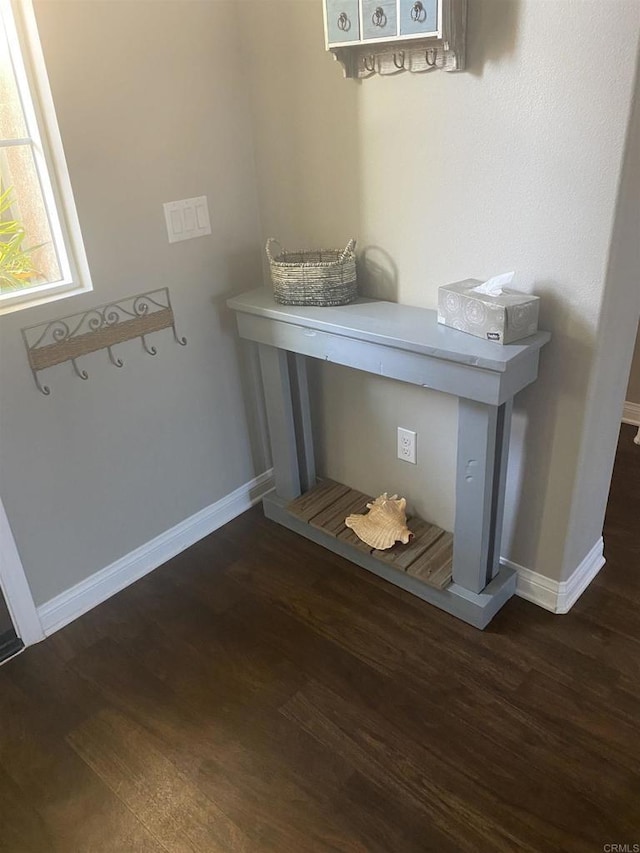 interior details featuring baseboards and wood finished floors