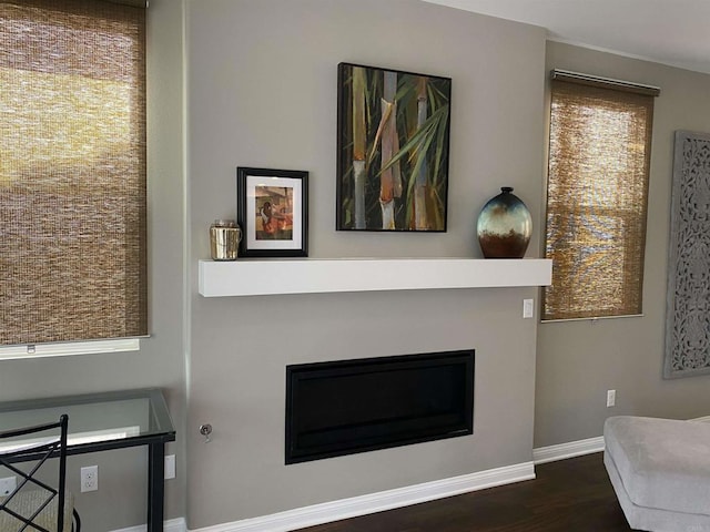 details featuring baseboards, wood finished floors, and a glass covered fireplace