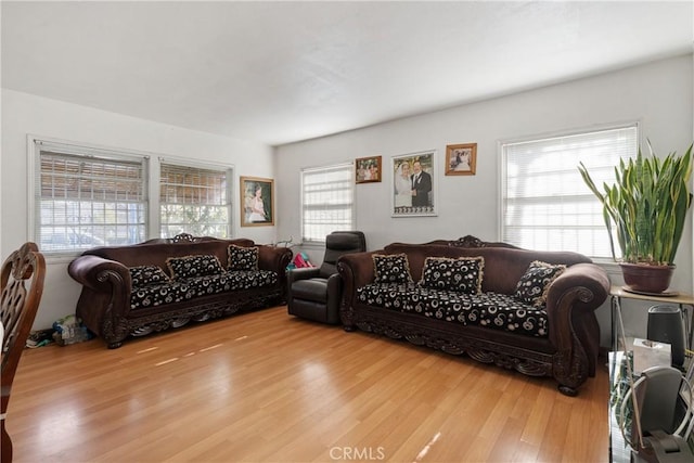 living area with wood finished floors