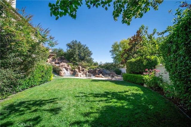 view of yard featuring a patio