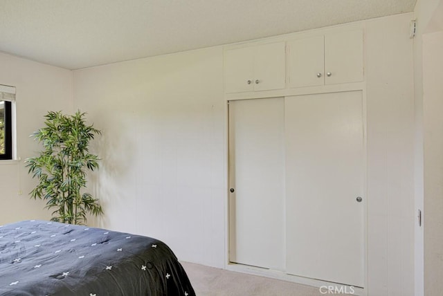 unfurnished bedroom featuring a closet and carpet flooring