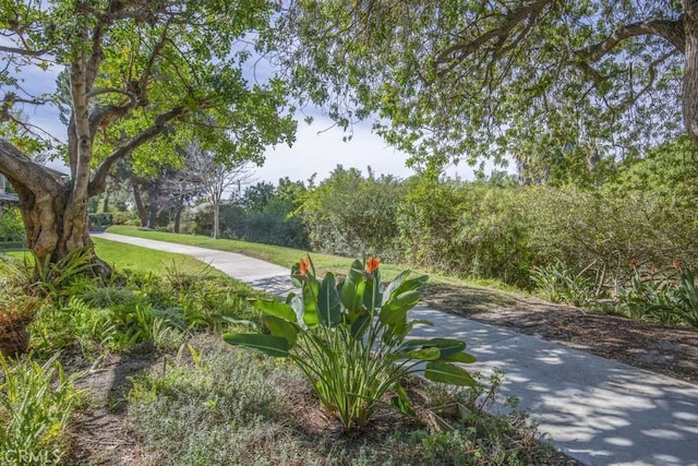 surrounding community featuring a yard