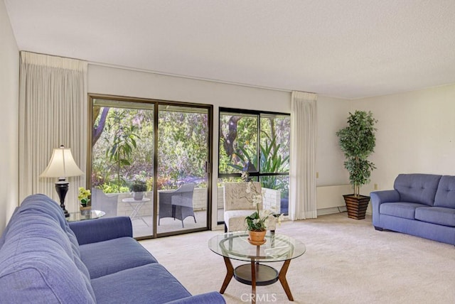 living area featuring carpet flooring