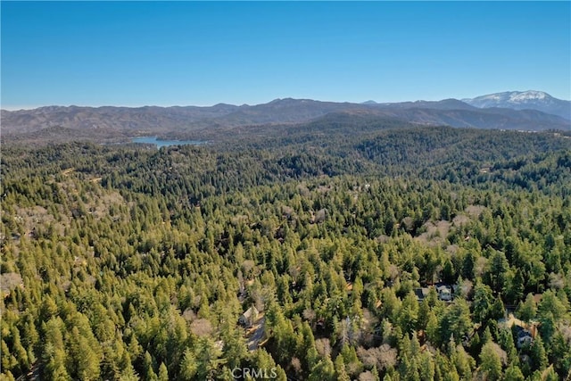 612 Rose Ln, Twin Peaks, CA 92391 - view of mountain backdrop with a heavily wooded area