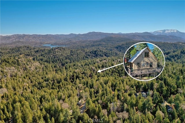 612 Rose Ln, Twin Peaks, CA 92391 - aerial view of a forest and a mountain backdrop