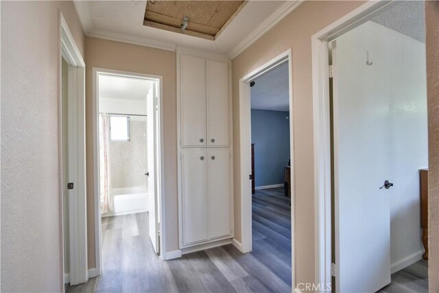 25602 Malaga Rd, Menifee, CA 92585 - hallway with light wood-style floors and baseboards