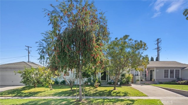 obstructed view of property with driveway and a front lawn