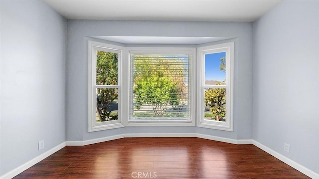 spare room with plenty of natural light, baseboards, and wood finished floors