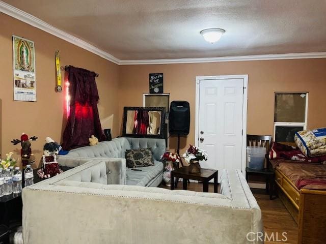 living area featuring crown molding, a textured ceiling, and wood finished floors