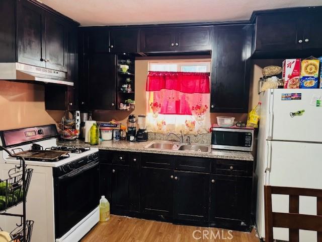 kitchen with white appliances, light wood finished floors, dark cabinetry, under cabinet range hood, and a sink