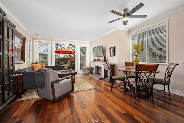 living area featuring a lit fireplace, a ceiling fan, dark wood finished floors, and crown molding