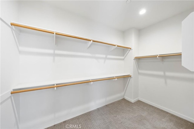 spacious closet featuring carpet