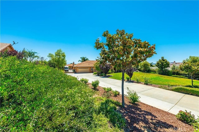 view of front of home with driveway, a garage, and a front lawn