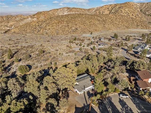 5559 Orchard Dr, Wrightwood, CA 92397 - photo 35
