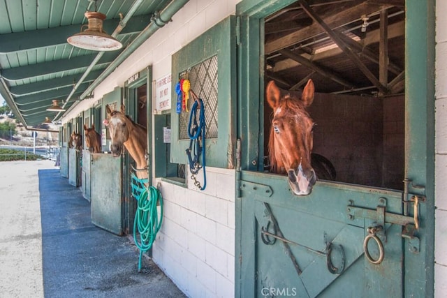 view of horse barn