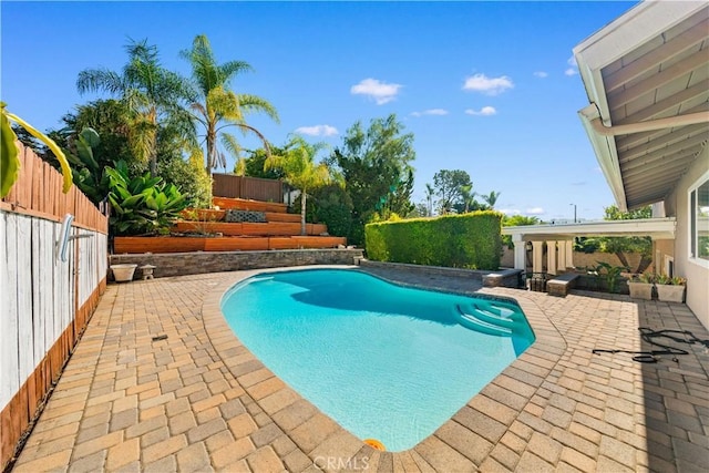 view of swimming pool featuring a fenced in pool, a fenced backyard, and a patio