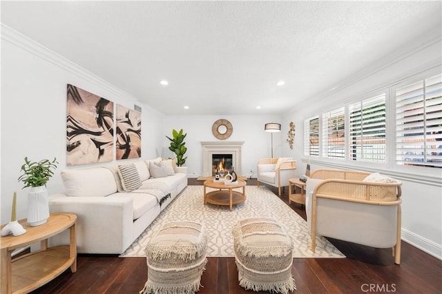 living area featuring a glass covered fireplace, wood-type flooring, crown molding, and recessed lighting