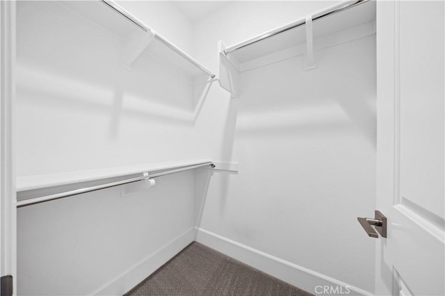 spacious closet featuring dark carpet