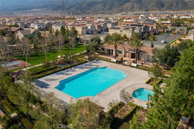 pool with a residential view