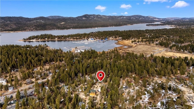 831 Crescent Ln, Big Bear Lake, CA 92315 - photo 20