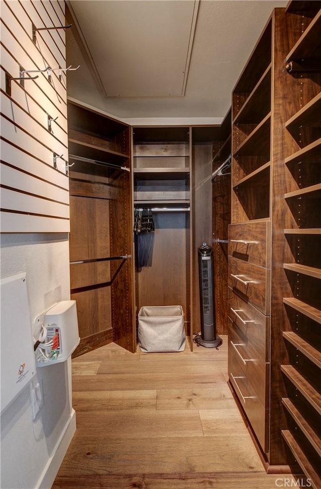 spacious closet featuring light wood-style floors