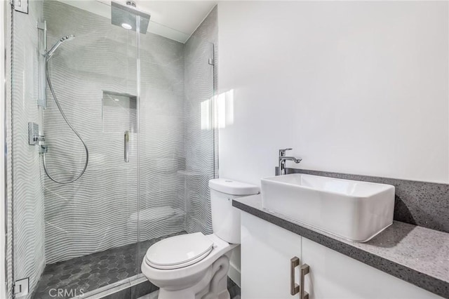 bathroom with vanity, toilet, and a shower stall