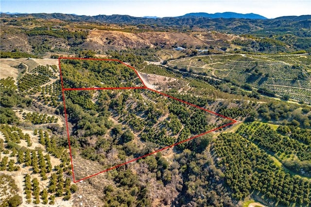 0 Camaron Rd, Temecula, CA 92590 - photo 4