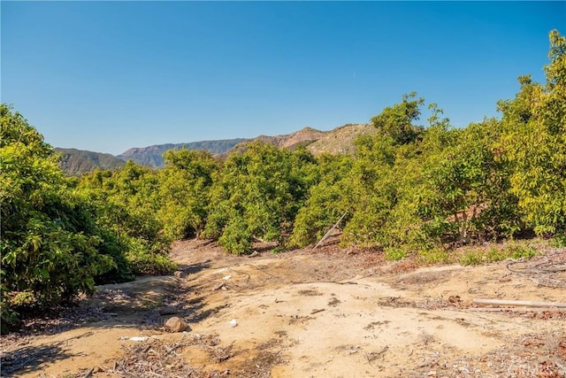 0 Camaron Rd, Temecula, CA 92590