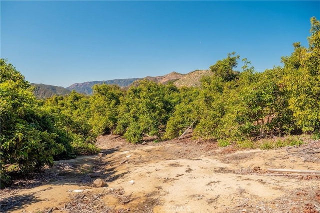 0 Camaron Rd, Temecula, CA 92590 - photo 16