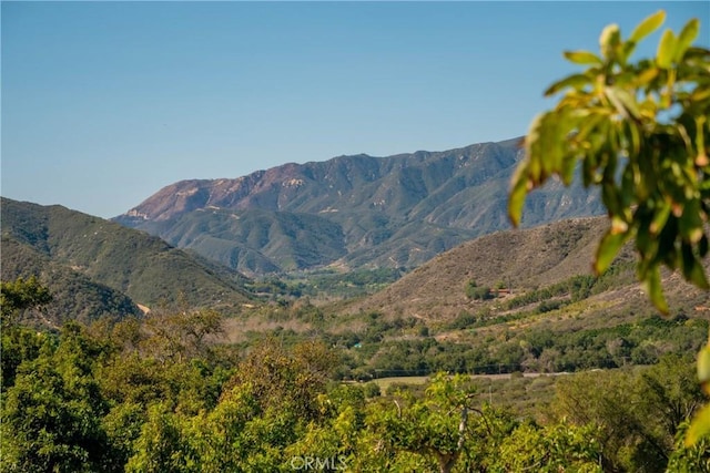 0 Camaron Rd, Temecula, CA 92590 - photo 8