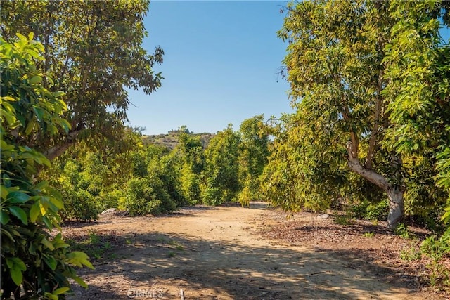 0 Camaron Rd, Temecula, CA 92590 - photo 17