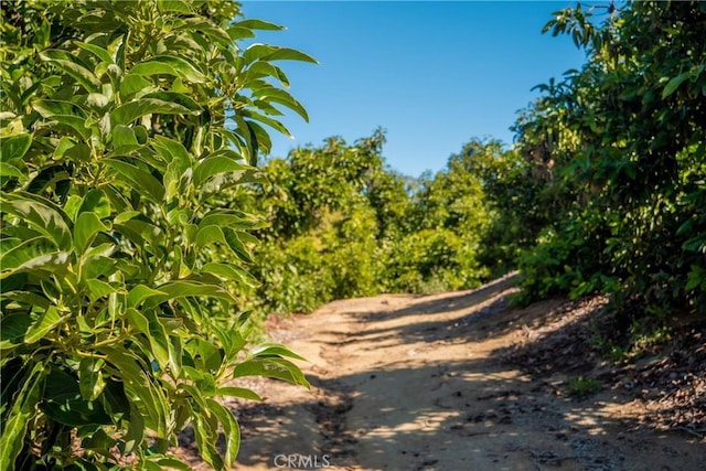 0 Camaron Rd, Temecula, CA 92590 - photo 21